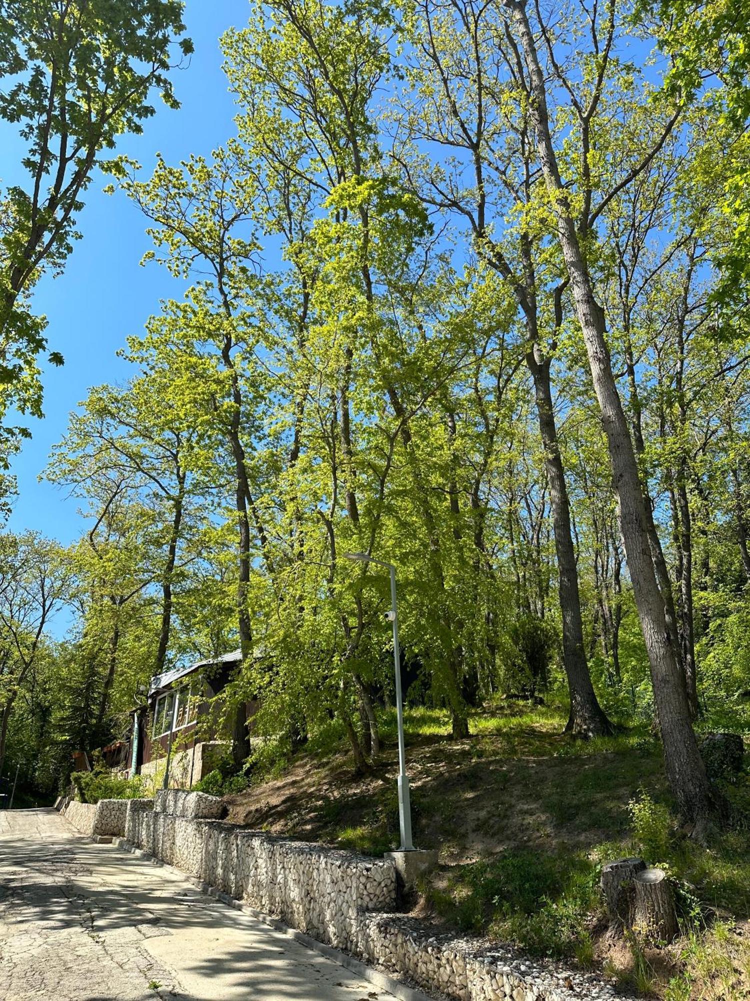 Sirena Holiday Park Kamchia  Exterior photo