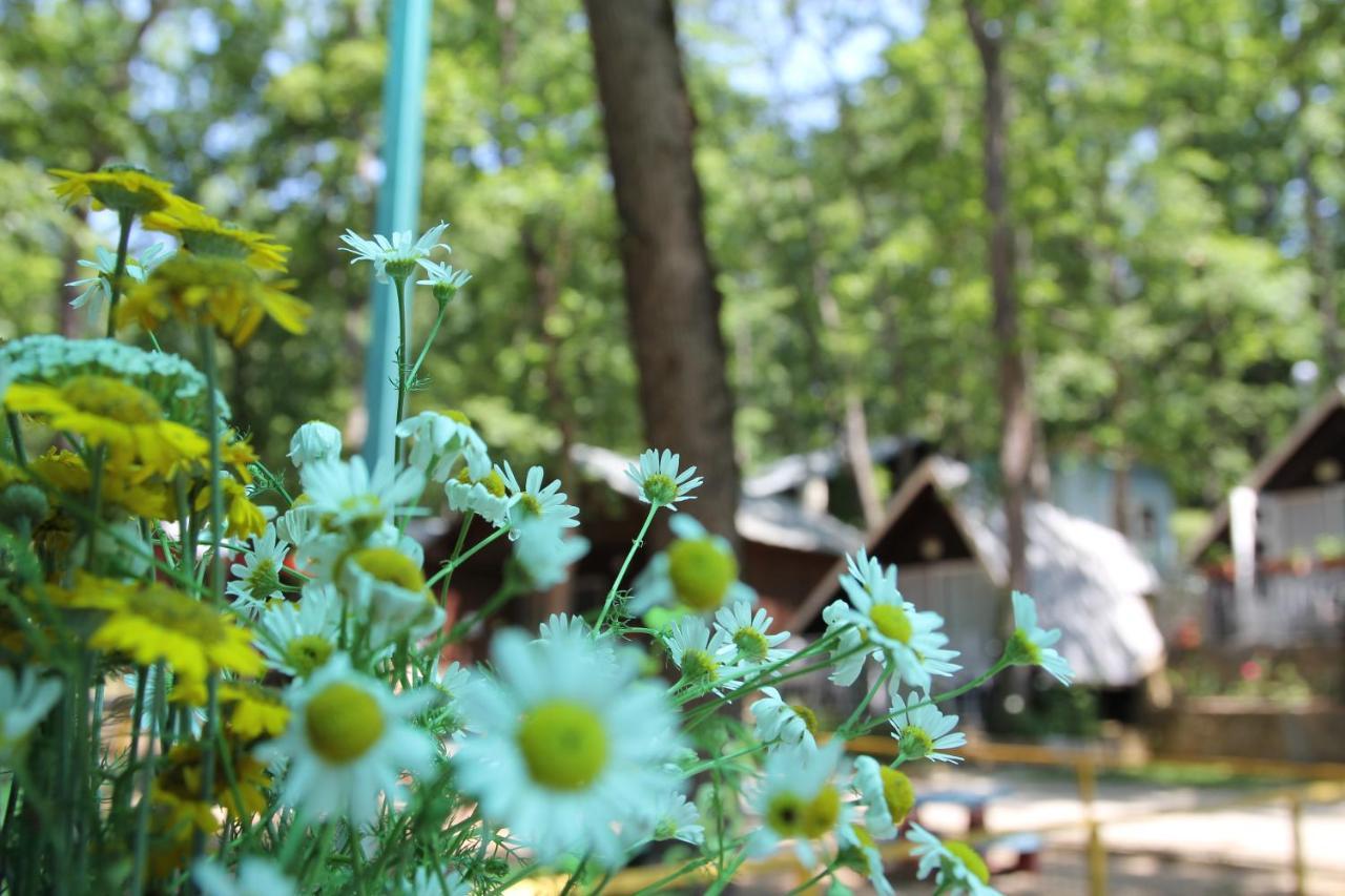 Sirena Holiday Park Kamchia  Exterior photo